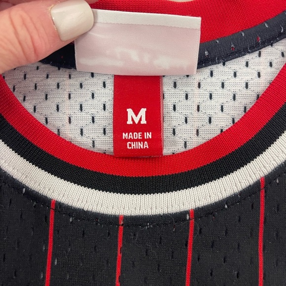 Chicago Bulls Scottie Pippen 1995/96 Hardwood Classics Alternate Swingman Jersey - Picture 8 of 8